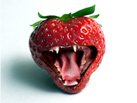 the strawberry attack; cover song